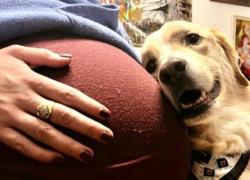 Enrico Nigiotti diventa pap&agrave;, l'annuncio sui social: chi &egrave; la futura mamma?