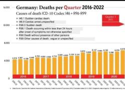 Vaccino Covid, in Germania morti improvvise più che raddoppiate (x 2,3) dopo l'introduzione del siero ad inizio 2021