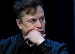 Il Parlamento Ue convoca Elon Musk in audizione: "Twitter non sia catalizzatore di linguaggio d'odio"