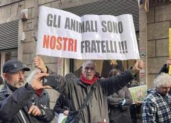 Animalisti in protesta dinanzi alla sede FDI Roma: amici dei cinghiali imbestialiti "Sono nostri fratelli!" - VIDEO