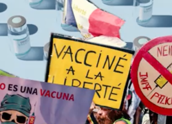 Oms, su Twitter il VIDEO choc contro i non vaccinati: “Con l’anti-scienza uccidono come i terroristi”