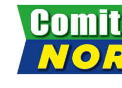 Lega, i dissidenti del Comitato Nord depositano il logo: nasce la creatura dei “bossiani”
