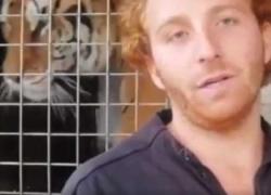 Ivan Orfei, dimesso il domatore azzannato dalla tigre durante uno spettacolo: prognosi di 30 giorni e animale isolato  