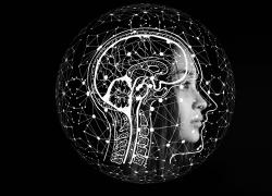 La finestra di Overton, quando l'intelligenza artificiale renderà inutile l'uomo