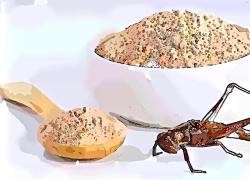 Vermi, farine di grilli e carne sintetica non sono buoni e non fanno bene: sono il solito megabusiness