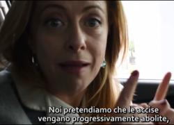 Benzina, quando la Meloni 3 anni fa chiedeva: "Le accise devono essere abolite!" - VIDEO