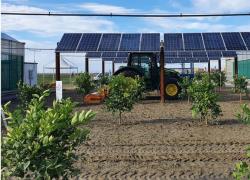 Sostenibilità, EF Solare Italia (Crédit Agricole Assurances e F2i Sgr)  in "Symbiosyst” per la competitività dell'agricovoltaico in Europa