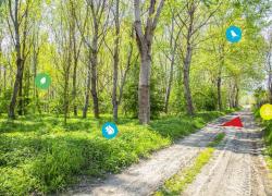 E.ON per il Green, con il progetto Boschi celebrato il traguardo di oltre 110.000 alberi piantati