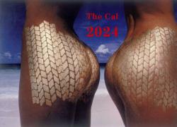 Calendario Pirelli 2024 per la presentazione si torna a volare e forse si va a New York. Oppure in un altro Paese anglosassone.
