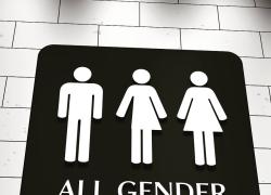 Milano, gli studenti progettano bagni no gender: quando i sogni dei giovani non vanno al di là dei cessi senza genere