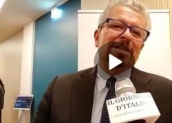 Franzoni, Logic: "Fatturato da 51 mln nel 2022: 2/3 sviluppato all’estero"