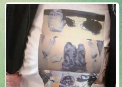 Pamela Mastropietro, la madre in Tribunale in T-shirt con l'immagine della figlia fatta a pezzi