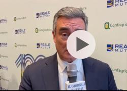 Luca Filippone, Reale Mutua: "Crescita del 30% per oltre 2800 aziende agricole nel 2022"