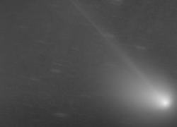 Cometa di Neanderthal, passata stanotte a distanza minima dalla Terra dopo 50 mila anni - VIDEO