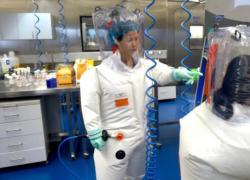 Covid, il dipartimento dell'Energia Usa: "Il virus nato da una fuga in laboratorio"