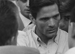 Pier Paolo Pasolini, chiesta riapertura indagini “sulla presenza di 3 Dna per verificare a chi appartengono"

