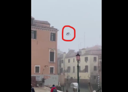 Venezia, tuffo dal tetto di un palazzo nella laguna. Sindaco Brugnaro: "Merita un certificato di stupidità"  - VIDEO
