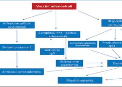 Giuseppe Barbaro, cardiologo: "Morti improvvise da vaccino Covid, nessuno cerca proteina Spike (tossica) con autopsie o analisi, quindi non risulta correlazione. Medicina è disciplina empirica, non dogma" - ESCLUSIVA