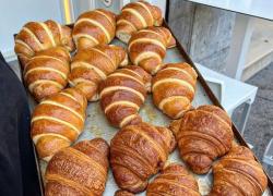Reggio Emilia, bar vende prodotti a base di farina di grillo. Il titolare: "Siamo i primi al mondo"