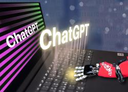 Chat Gpt, garante della privacy blocca la piattaforma in Italia: "Dati raccolti illecitamente"
