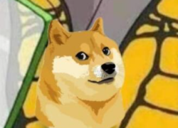 Elon Musk cambia logo di Twitter: il cane di Dogecoin al posto dell'uccellino. Il titolo della criptovaluta si impenna (+30%)