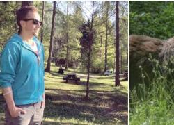 Runner ucciso da un orso in Trentino, l'autopsia conferma. Si difese con un bastone, la mamma: "Hanno voluto il morto"