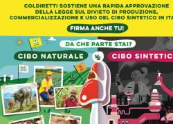 Carne sintetica, la denuncia di Coldiretti: “Censurati da Facebook”. Anche la bistecca diventa politicamente corretta