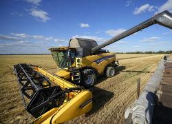 Grano ucraino, stop all’importazione da Polonia, Ungheria e Slovacchia: sfida aperta all’Ue