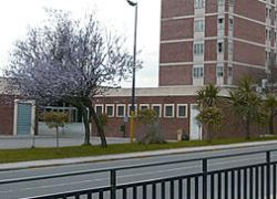 Nuoro, ragazza romana di 22 anni morta dopo essere caduta dal quarto piano: ipotesi suicidio
