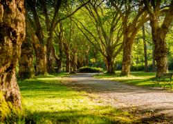Roma, prete nigeriano accusato di molestia sessuale nel parco. Subito rilasciato per mancanza di flagranza