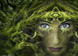 ESG. Il tema dell’ambiente ha radici profonde. Essere se stessi, in simbiosi con la natura