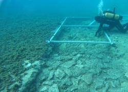 Archeologia, scoperta una strada di 7000 anni nell'Adriatico, collegava l’isola di Corzula con l’insediamento neolitico di Soline