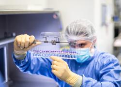 Big Pharma schiva il fisco Usa, Pfizer e Johnson & Johnson guadagnano col vaccino Covid: 110 mld di utili e 3 di tasse, il 2,7%
