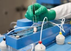 Cure Covid, lo studio dell’Istituto Negri e del Giovanni XXIII: “Antinfiammatori riducono i sintomi dell’80% e il ricorso all’ossigeno del 100%”