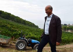 Maremma protagonista del vino italiano: Frescobaldi acquisisce Poggio Verrano