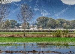 Teatro Palladium Università di Roma3. I cortometraggi dedicati all’acqua nel territorio dell’Agro Pontino