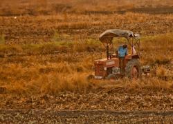 BF Algeria, sottoscritti gli accordi per il rilascio della concessione per le coltivazioni 