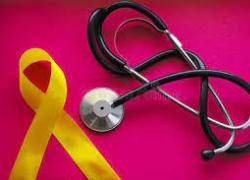 Oblio oncologico, Meloni accelera sulla nuova legge: diritto per l'ex malato di tumore a non rivelare il passato sanitario 