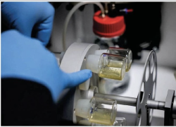Creati embrioni umani sintetici con cellule staminali per studiare malattie genetiche: tecnica che esclude ovuli e spermatozoi 