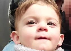 Nicolò Feltrin morto a 2 anni per overdose a Longarone, l’analisi choc: “Droga mescolata alla pappa”