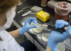 COVID-19, nuovo Report Oms sulla mortalità: “Decessi totali a meno dello 0,09% della popolazione mondiale" (6,95 mln su 8 mld)