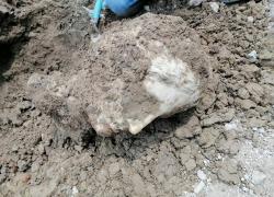 Roma, riaffiora testa in marmo greco a Piazza Augusto Imperatore, forse raffigura la divinità Afrodite – GALLERY