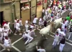 Festa di San Firmino, la corsa dei tori per le vie di Pamplona, 3.500 persone con fazzoletto rosso al collo in fuga dalle corna - VIDEO