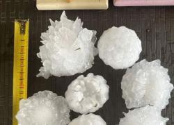 Grandine in Veneto, chicchi grandi come palline da tennis, agricoltura e auto distrutte, 110 feriti - VIDEO