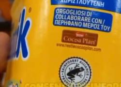 "Algida, Kitkat, Nesquik e Magnum prodotti con farina di grillo e rane", ma l'azienda smentisce: "Rainforest Alliance è un logo eco-friendly" - il VIDEO virale