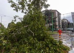 Maltempo a Milano, donna di 58 anni morta a Lissone schiacciata da un albero: chiuse le stazioni di Monza e Gallarate
