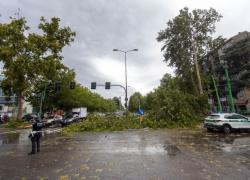 Maltempo, a Brescia morta 16enne schiacciata da albero, è la seconda vittima; a Milano nubifragio e case scoperchiate - VIDEO
