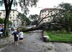 Maltempo a Milano, il videoreportage dei principali luoghi della città colpiti dal nubifragio - Il VIDEO virale