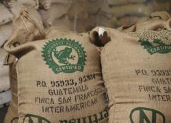 Prodotti Rainforest Alliance, l’allarme: “Non comprare, contengono atrazina, un erbicida nocivo per il sistema endocrino”. La news che gira in Rete, ma è un fake