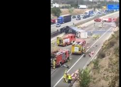 Barcellona, maiali sulla carreggiata dopo ribaltamento camion, chiusa autostrada, 14 km di coda – VIDEO